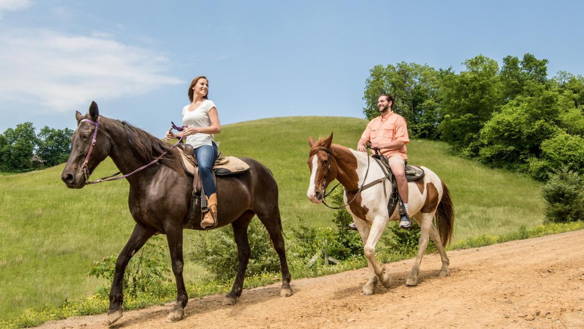 A Walk In The Clouds By Eden Crest Villa Sevierville Exterior photo
